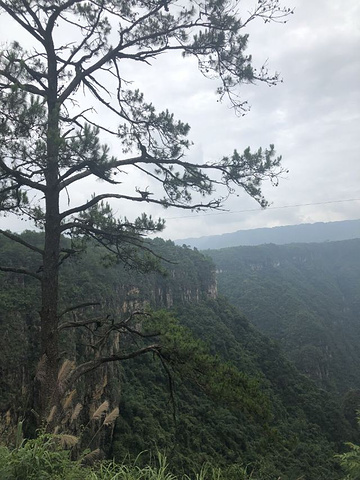 "_广东大峡谷"的评论图片