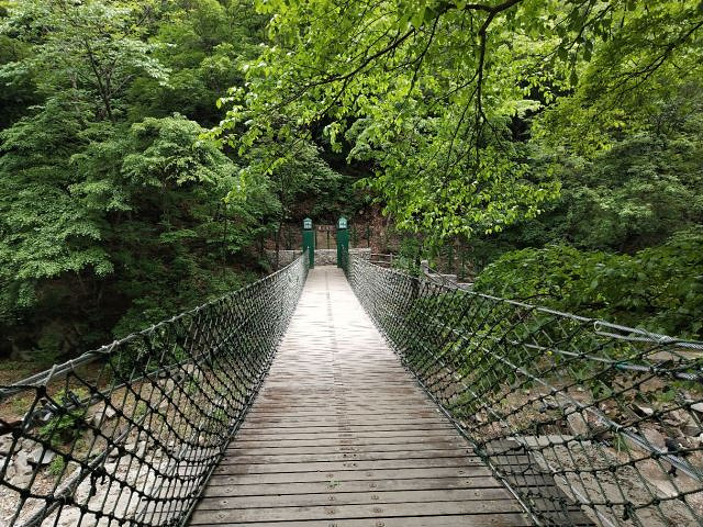 "_筐子沟生态风景区"的评论图片