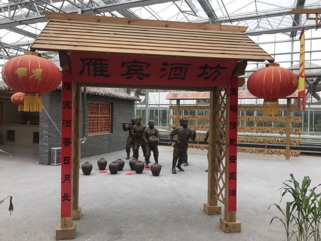 莘县中原现代农业嘉年华