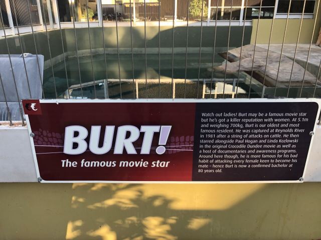 可可洛思鳄鱼湾主题公园