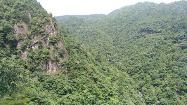 灵江源森林公园