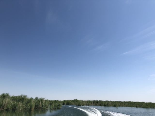 乌伦古湖国家湿地公园