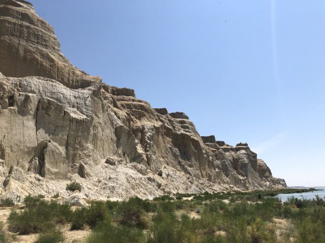 乌伦古湖国家湿地公园