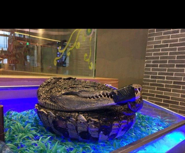 沐青汤泉(绿城天地综合广场店)