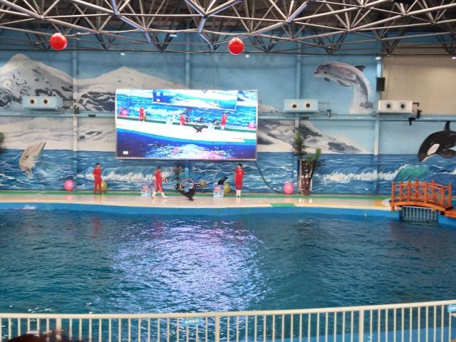 扬州极地海洋世界萌宠乐园