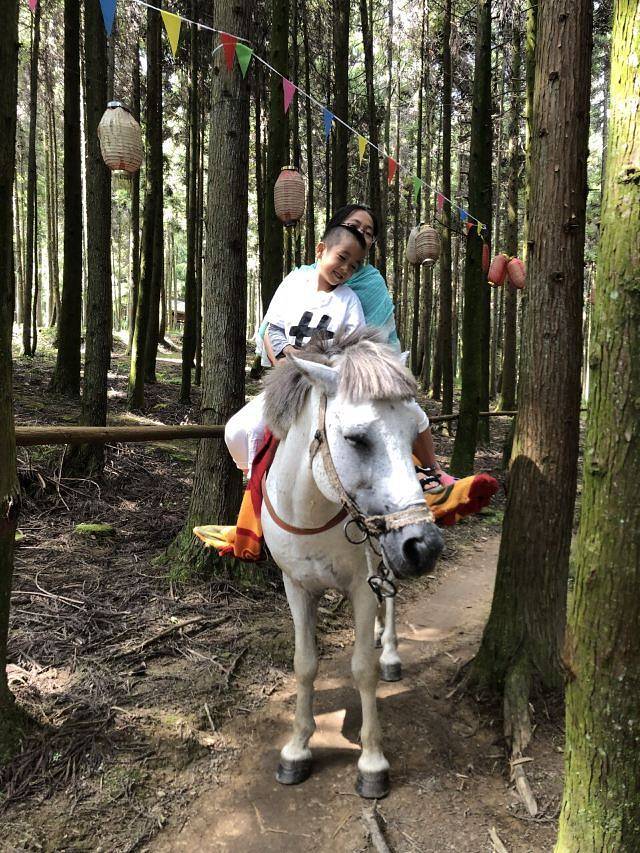 (重庆黄水旅游度假区)毕兹卡绿宫