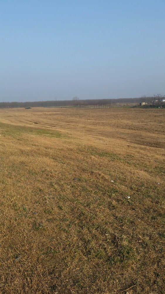 普罗旺斯薰衣草庄园