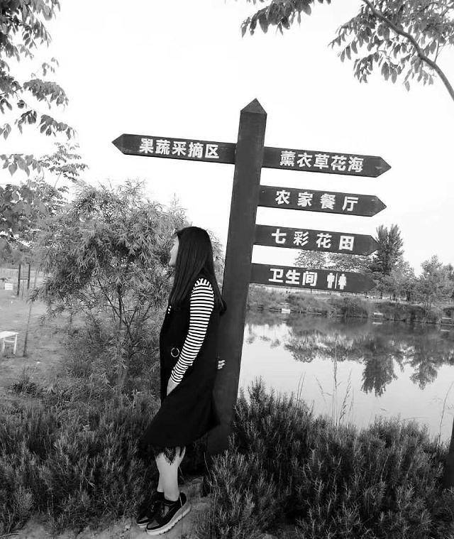 普罗旺斯薰衣草庄园