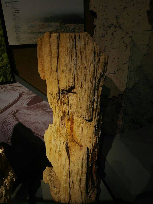 嘉荫神州恐龙博物馆