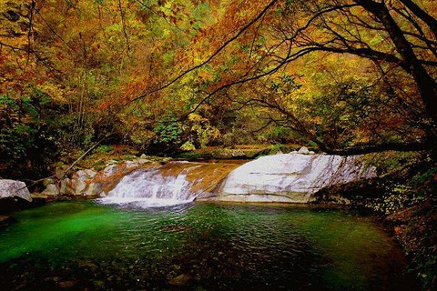 光雾山旅游景区旅游景点攻略图