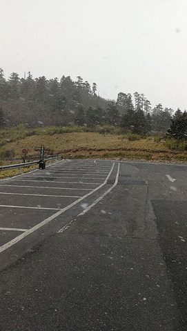 "这里是我国发现野人的地方，游玩的那天山上一直下雪，有的地方雪下的好大，一片云雾缭绕，没法完全看..._神农顶风景区"的评论图片