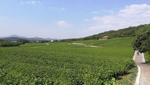 龙池山自行车公园旅游景点攻略图