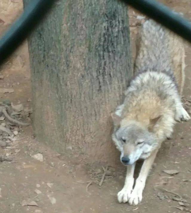 九峰国家森林公园