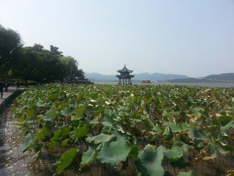 藏王墓