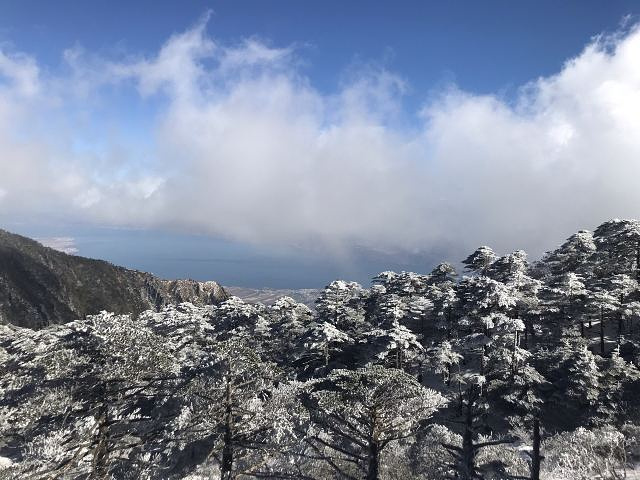 "下山后可以去天龙八部拍摄地看看，门票有包含的。然后仔看看我的可乐，只想说太可怕&#x20_洗马潭大索道"的评论图片