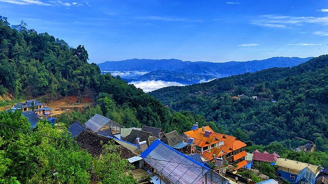 西双版纳南糯山 曼听公园纯玩一日游·独立用车(含景点门票)