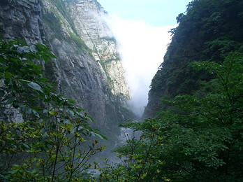 庐山三叠泉东门联票景区,冰川峡谷漂流二日游(四星)全程无自理,盛夏