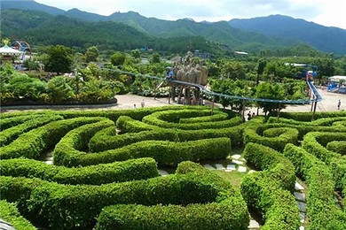 【花漾森波拉】广州往返 清远佛冈森波拉度假森林奇妙世界一天游