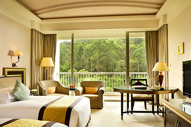 东莞唐拉雅秀酒店双人美味套餐【含双人自助早餐及晚餐,零距离观赏孔