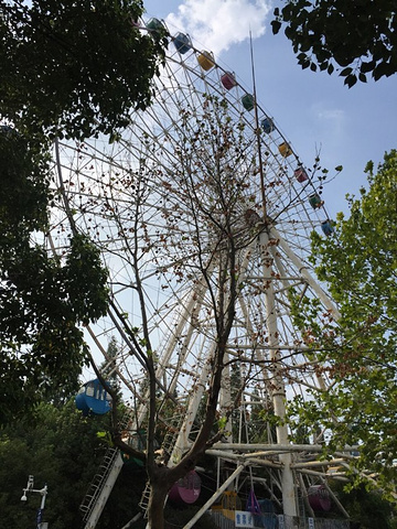 欢乐岛位于合肥市杏花公园内是一个相对比较大的游乐场有小火车旋转