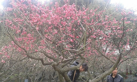 中山公园旅游景点攻略图