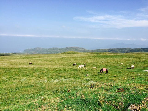 乌蒙大草原旅游景点攻略图