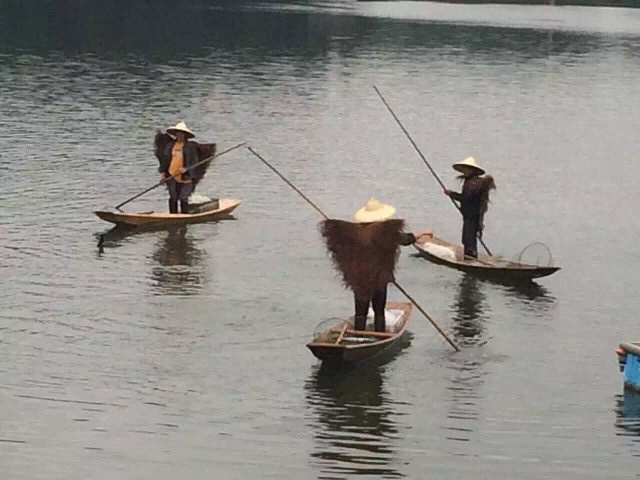 "_龙水湖松鹤岛运动公园"的评论图片