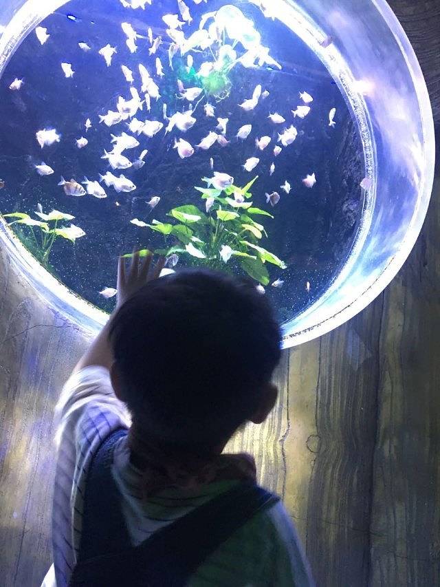 阜阳海洋文化科技馆