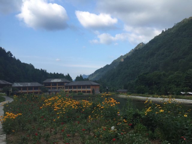 上坝河国家森林公园