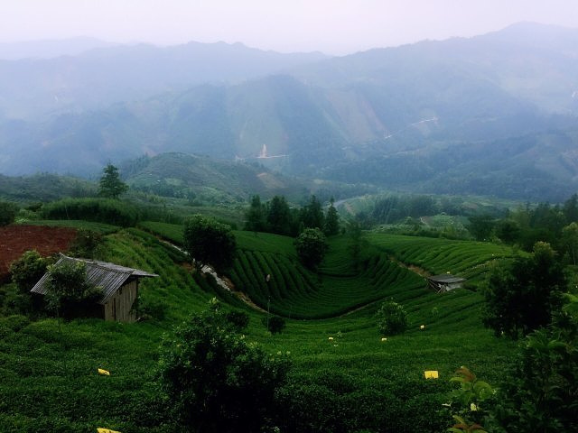 "_仙人山景区"的评论图片