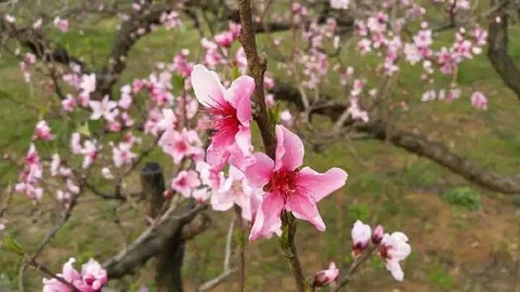 寿县八公山风景区旅游景点攻略图