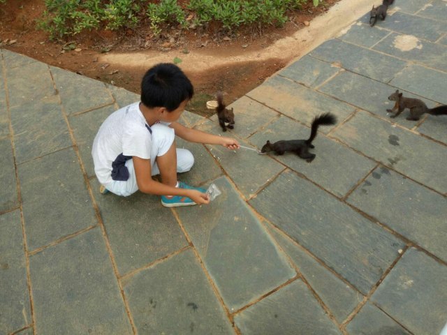 光明松鼠谷主题乐园