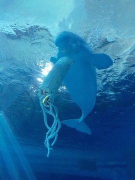 台湾海洋生物博物馆旅游景点攻略图