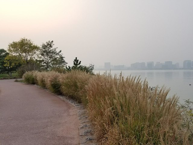 "相比于热闹的夏季，深秋时节的唐岛湾则更加迷人。没有了拥挤的人头，人只能用稀少来形容_唐岛湾滨海公园"的评论图片