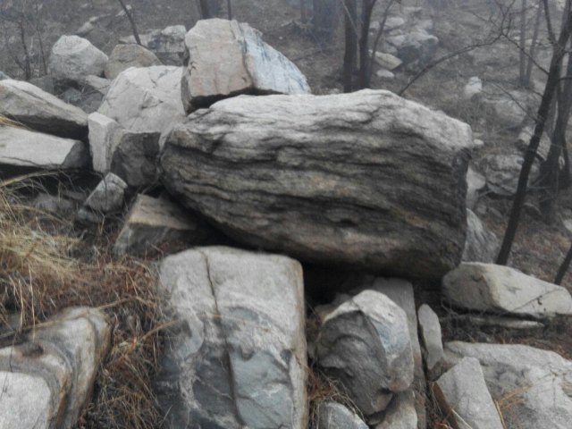 如月湖湿地公园