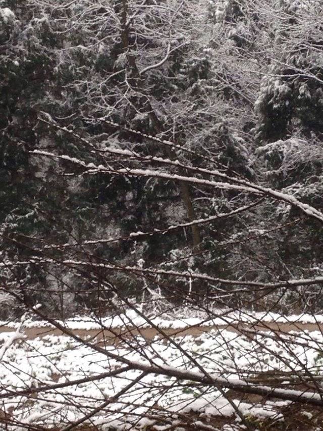 巴中章怀山旅游区