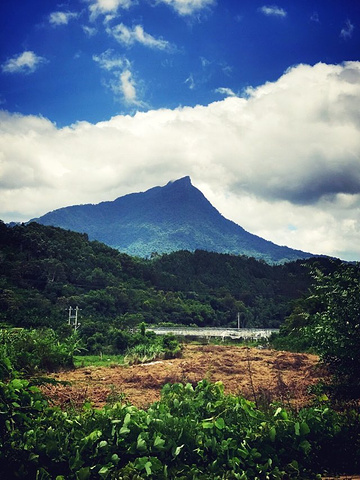 "到了海南都知道，吃在海口，玩在三亚，住在五指山，五指山全面气温24度左右，水满乡更是仙境一样美丽动人_五指山水满河热带雨林风景区"的评论图片