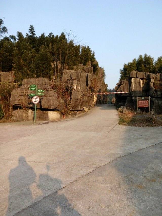 西部竹石林景区