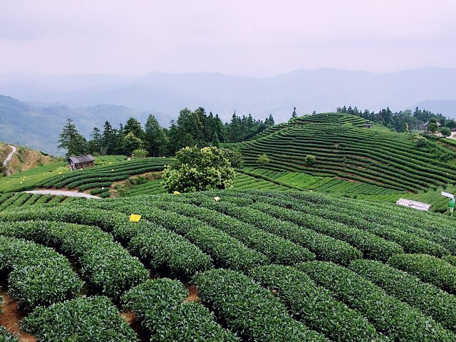 "_仙人山景区"的评论图片