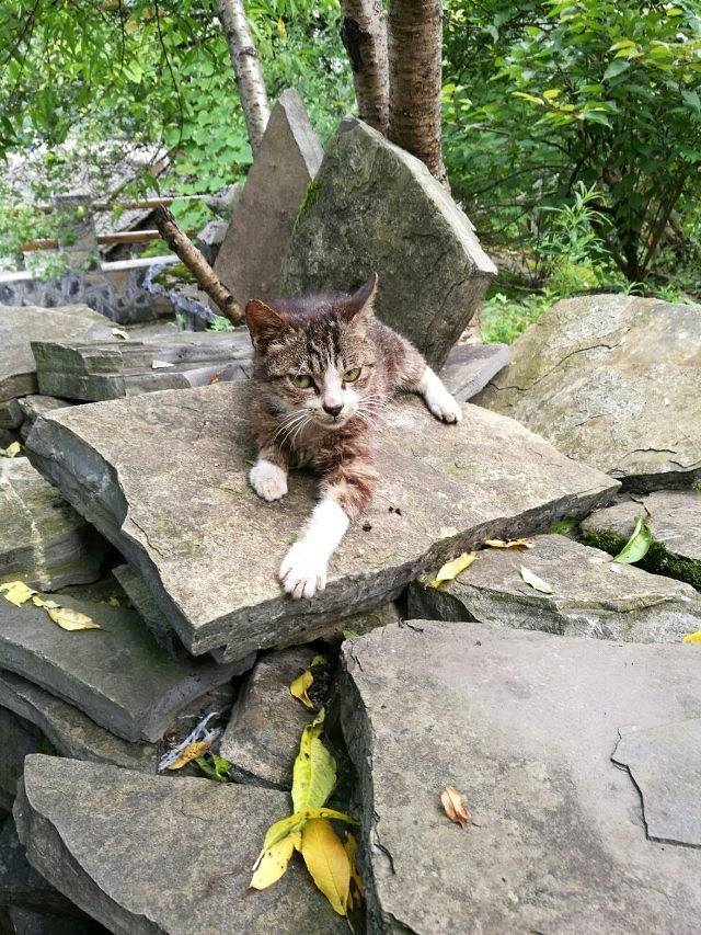 拉毫营盘石板寨