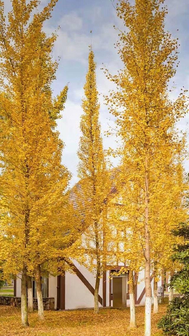 ST&SAT(百联奥特莱斯广场店)