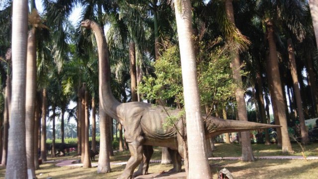 珠海一棵树休闲农庄