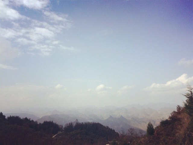 长江药用植物园