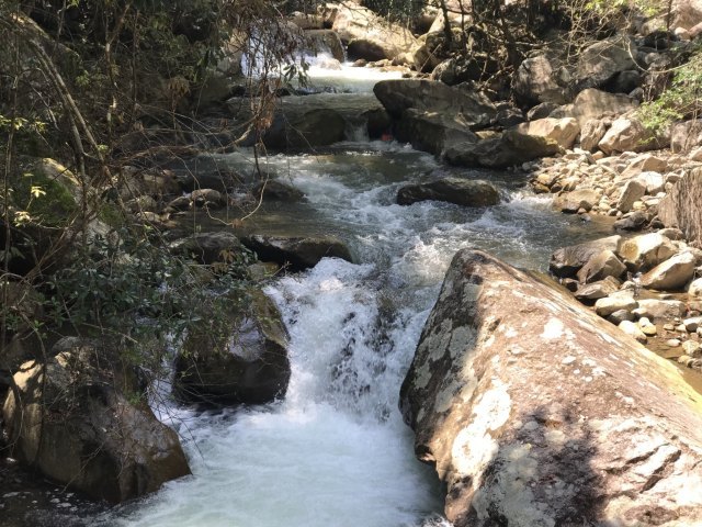 昆山市城市生态森林公园