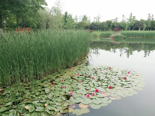 马鞍山森林公园