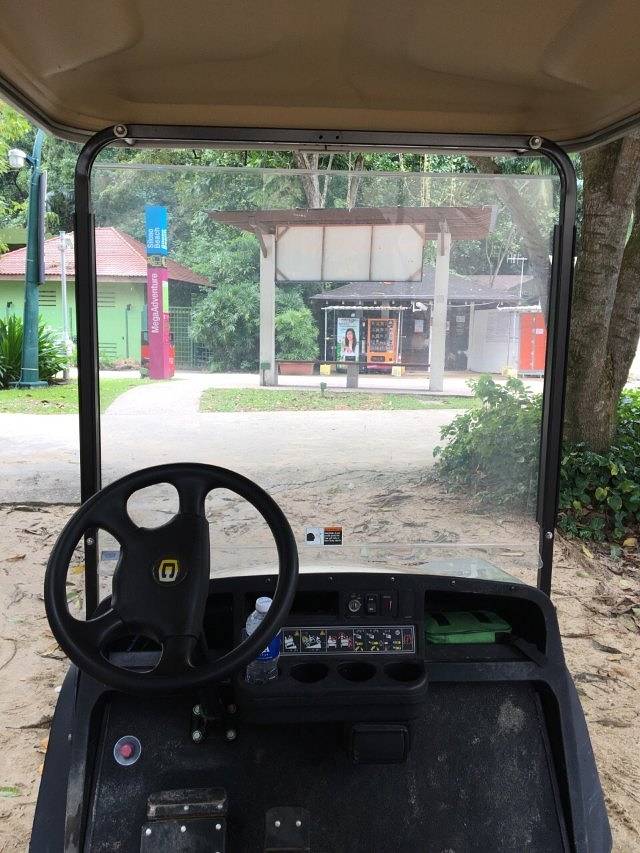 圣淘沙飞龙探险乐园