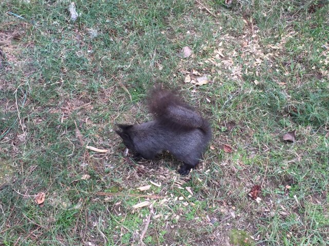 悦来亲子王国(悦盈新城店)