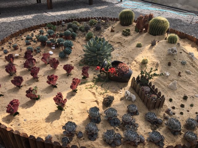 未来农林大世界