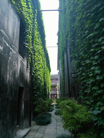 "...但美中不足，有些房子里面空荡荡的，如有些家具摆设那更好了，景区后面有一片果园，可以带孩子去采摘_梅花洲"的评论图片