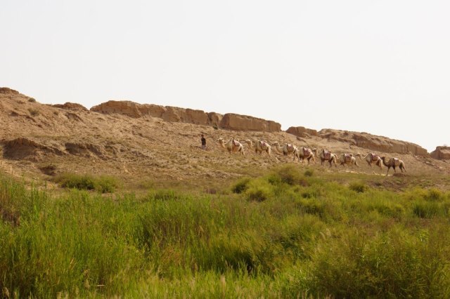 长流水生态旅游区